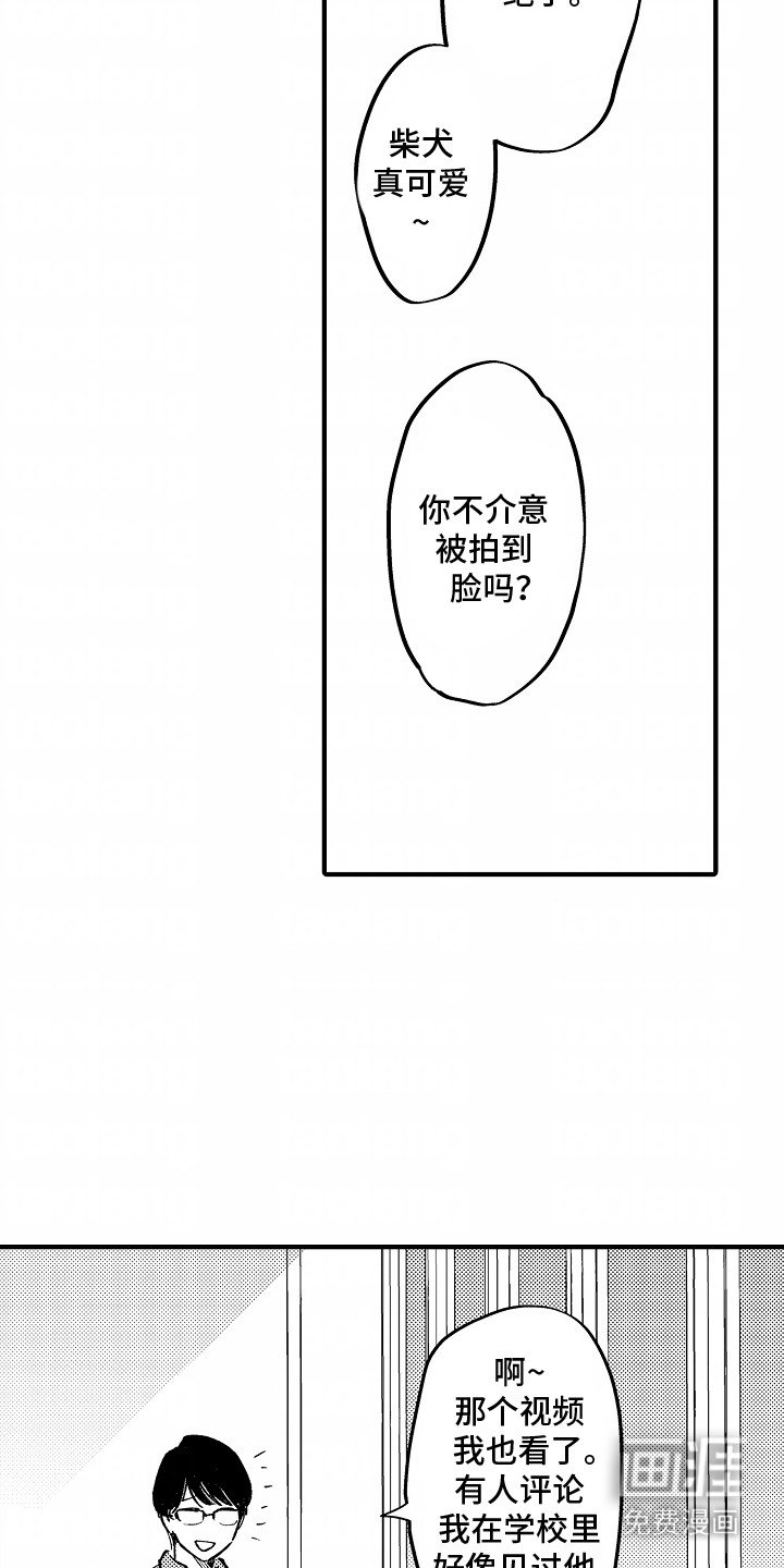第2章：人气视频