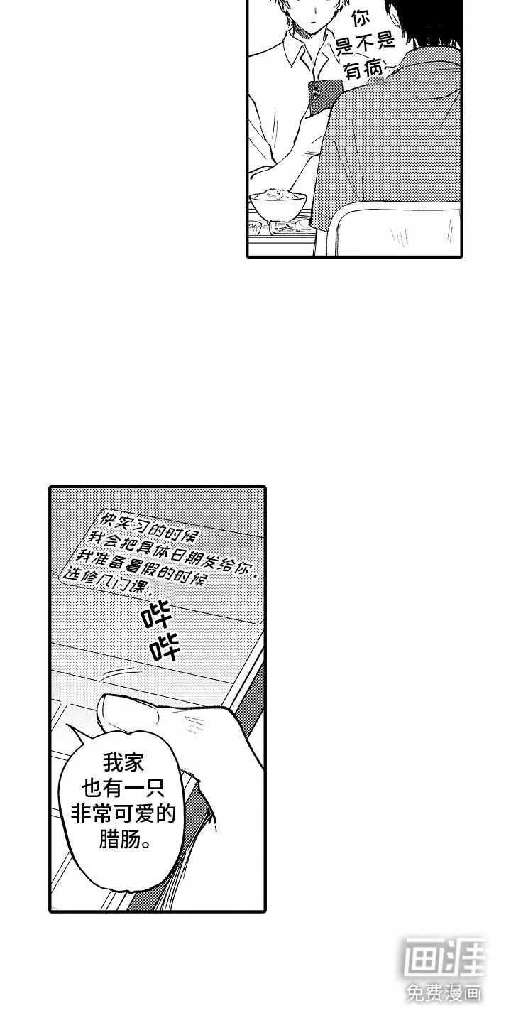 第2章：人气视频