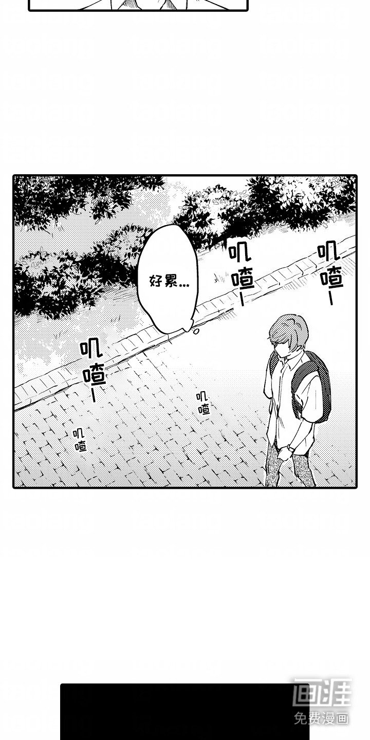第2章：人气视频