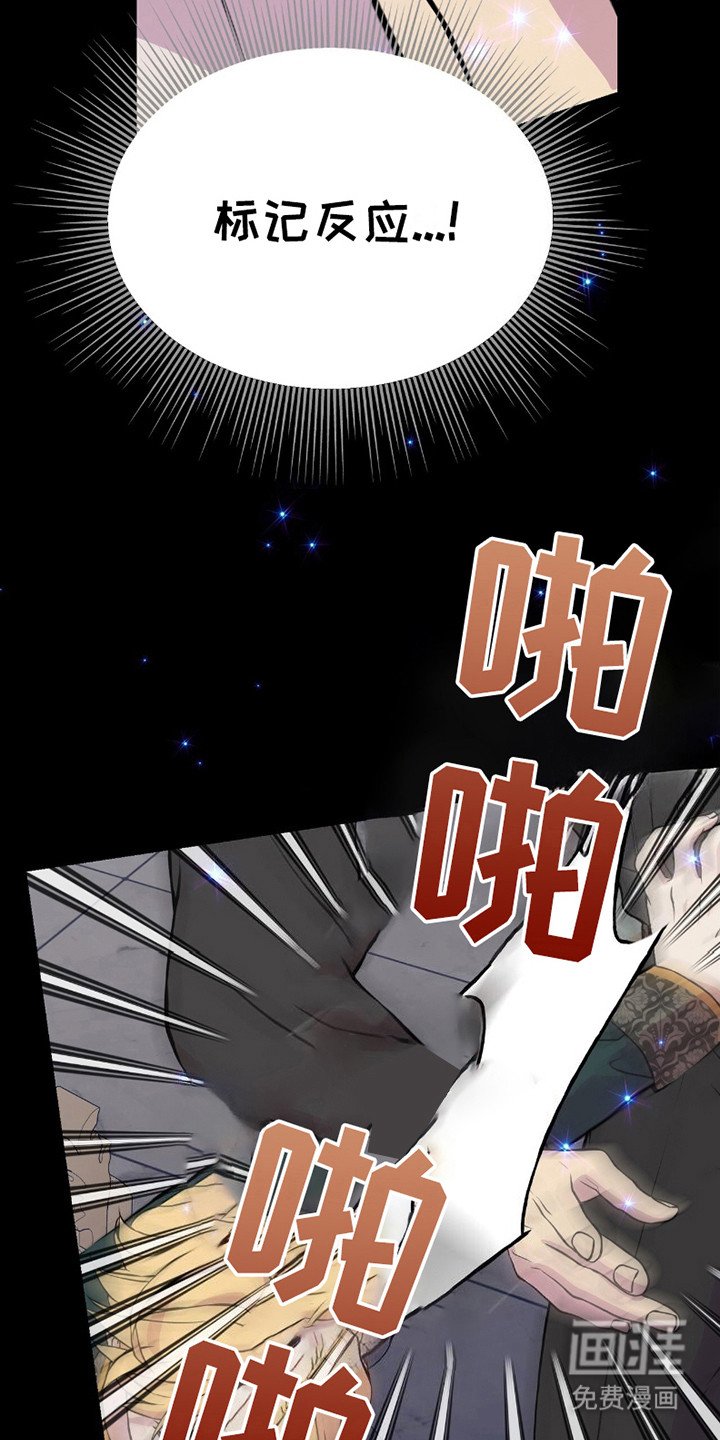 第10章：标记反应