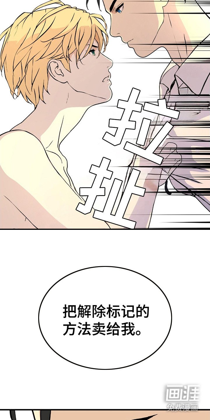 第17章：坐地起价