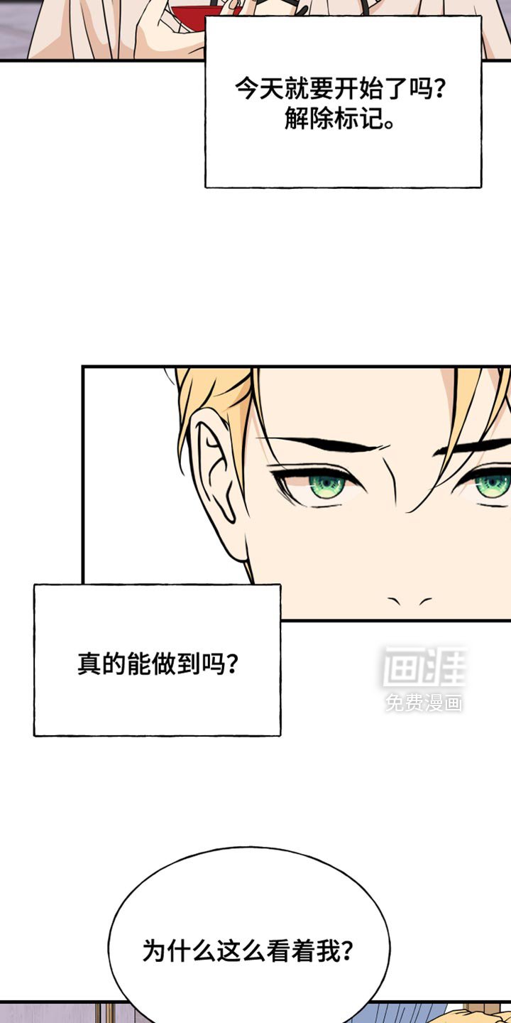 第41章：害怕失败