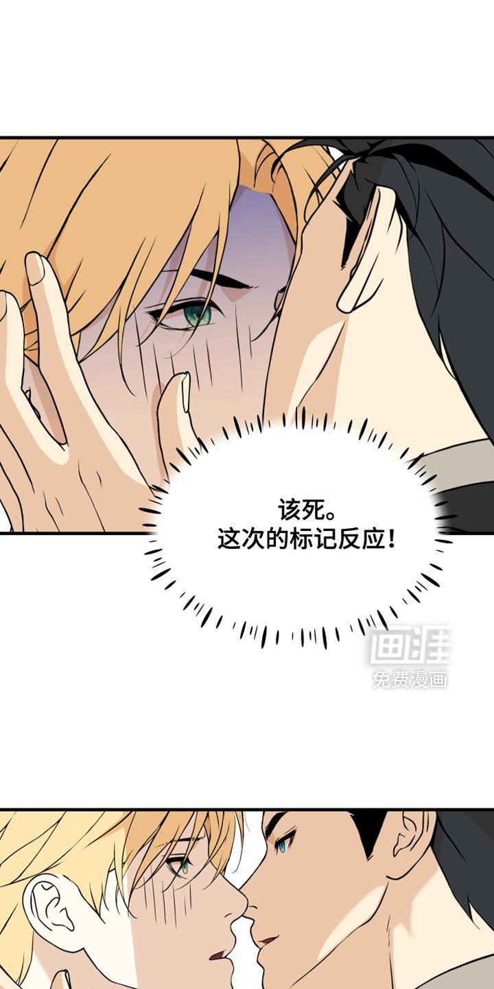 第48章：还没结束