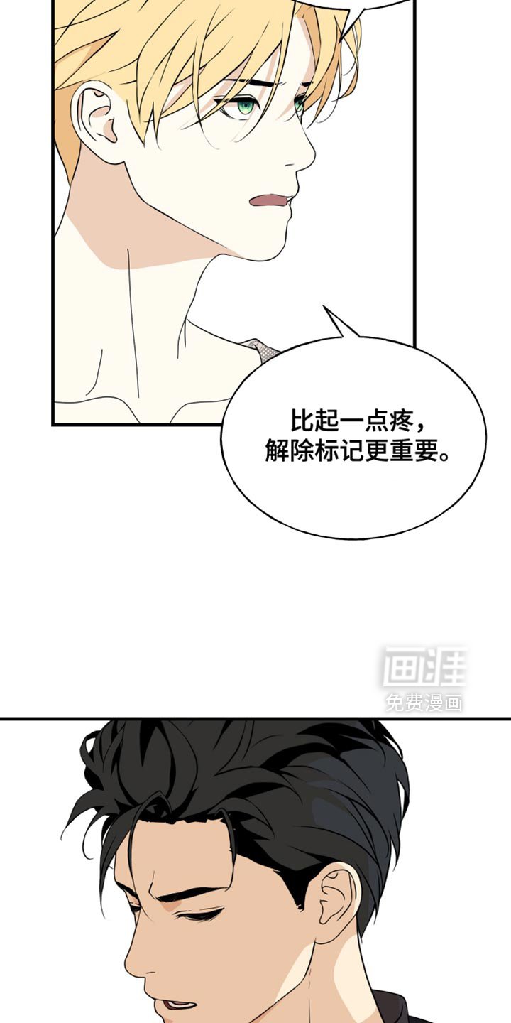 第49章：你又犯固执