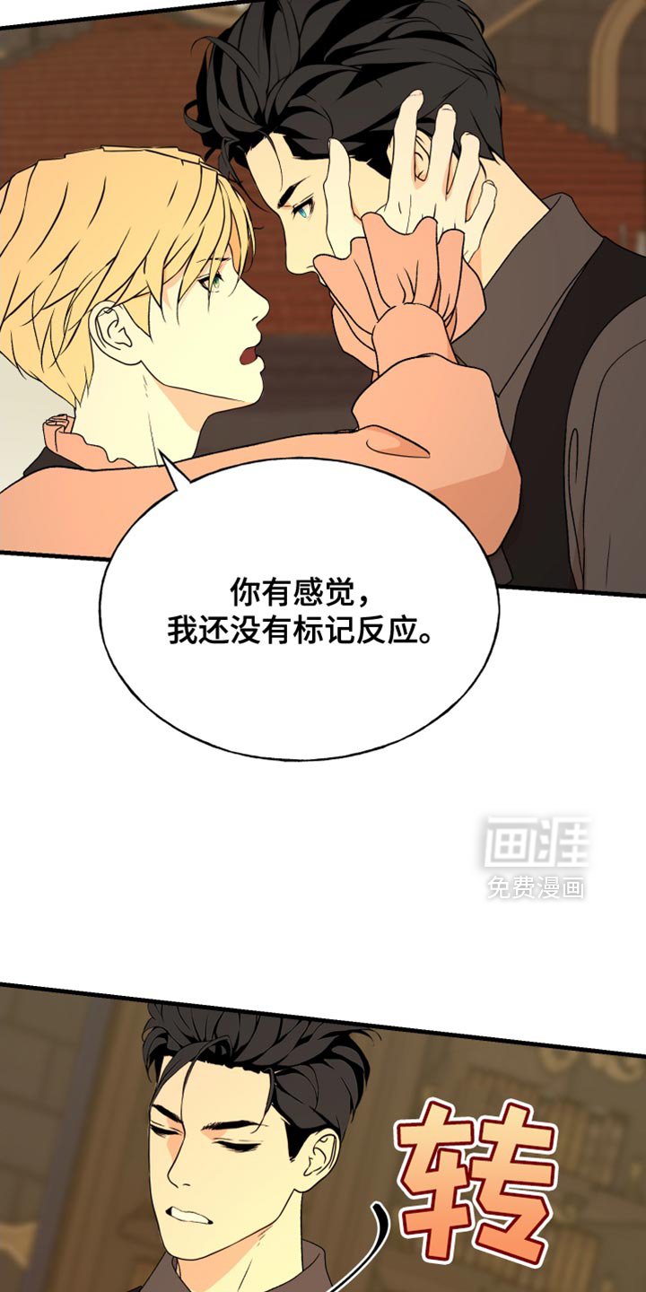 第56章：我没开玩笑