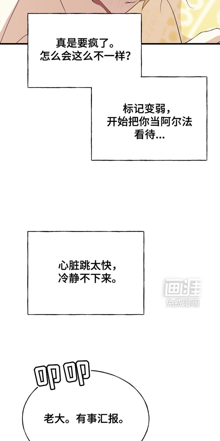 第63章：【第二季】仓促