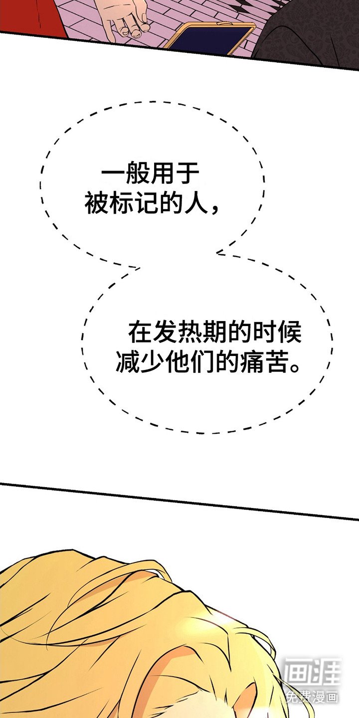 第8章：真心的