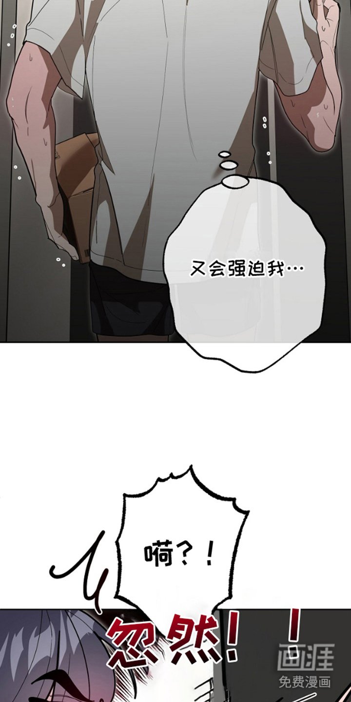 第12章：使用方法