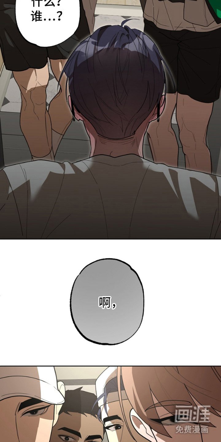 第12章：使用方法