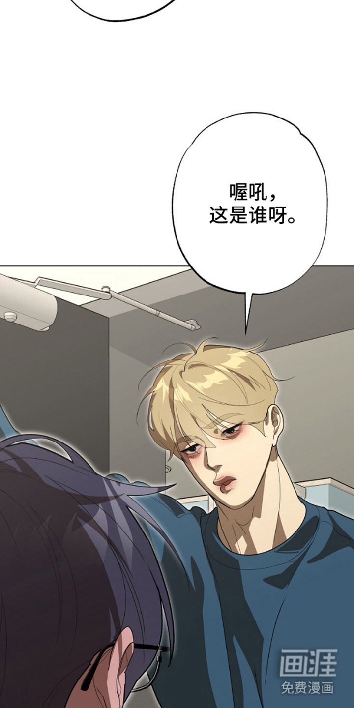 第12章：使用方法