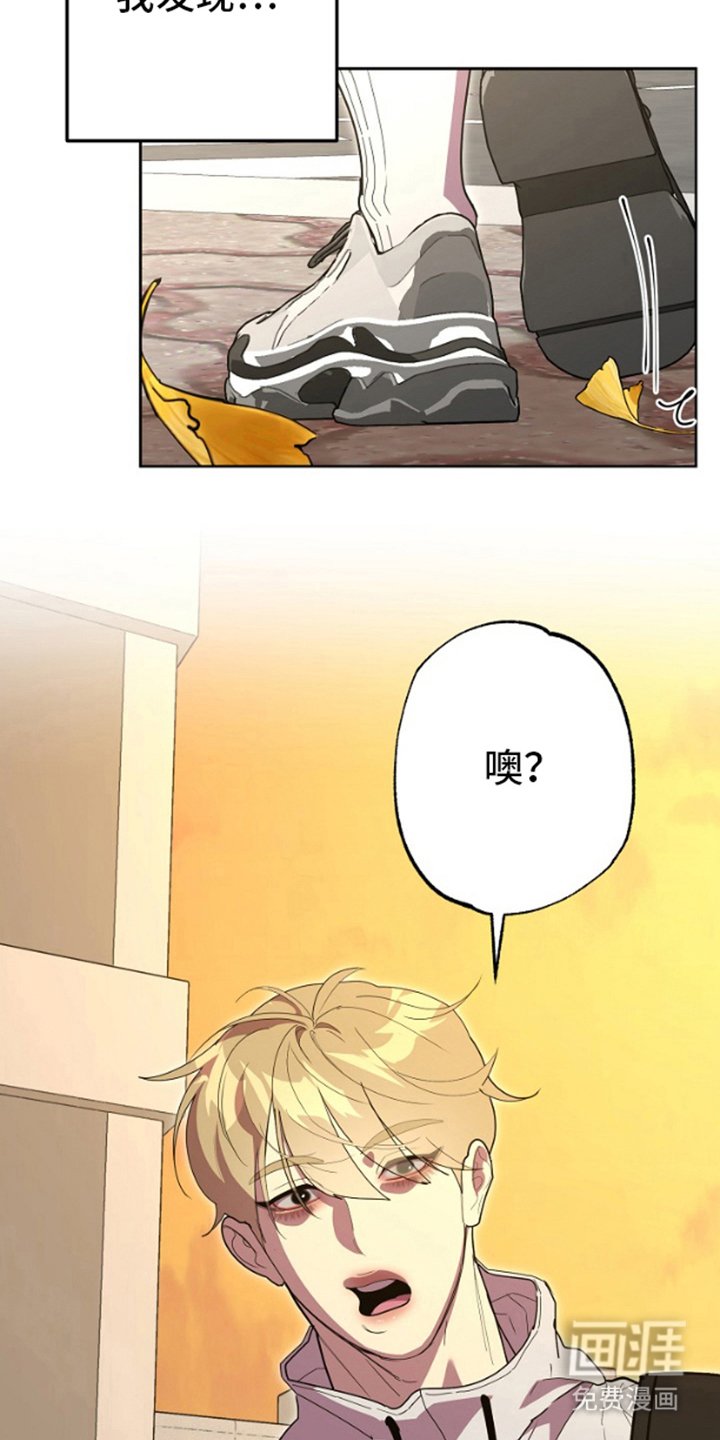 第13章：互相帮助