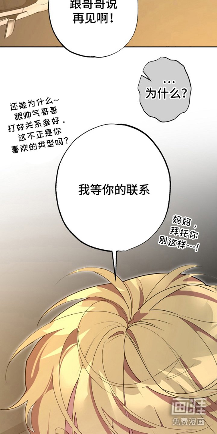 第13章：互相帮助