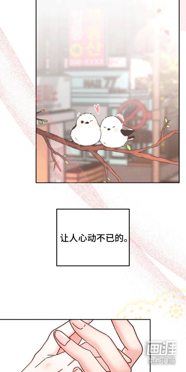第1章：母胎单身