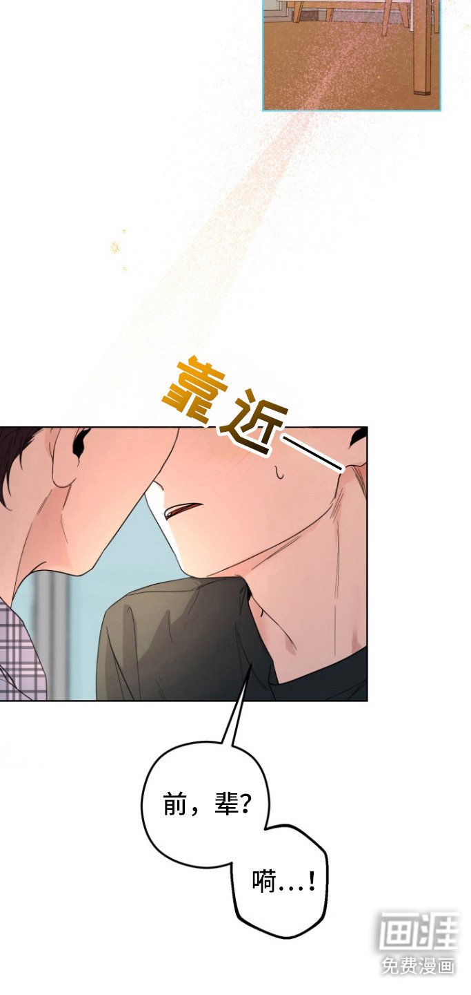 第12章：试试吧