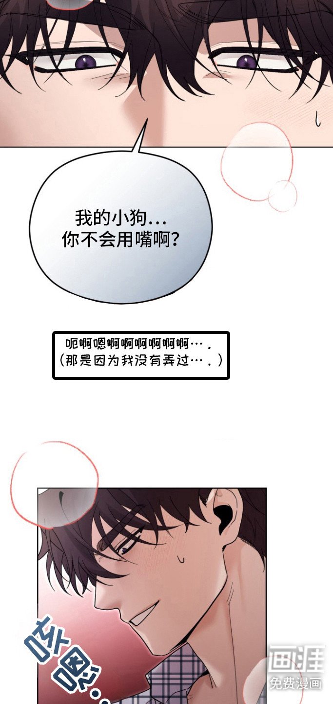 第12章：试试吧