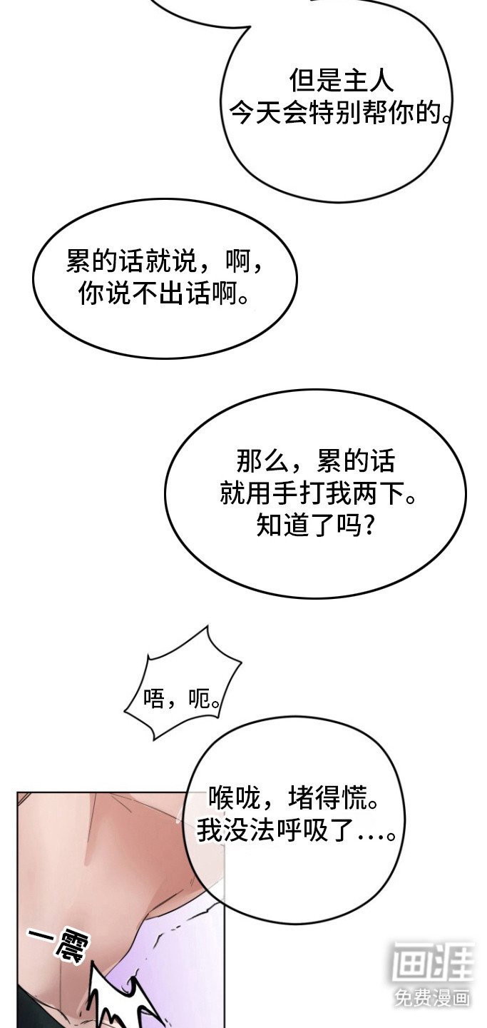 第12章：试试吧