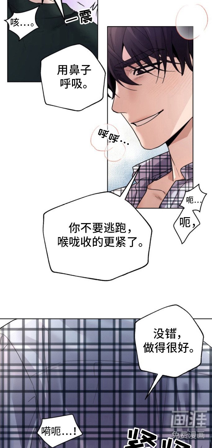第12章：试试吧
