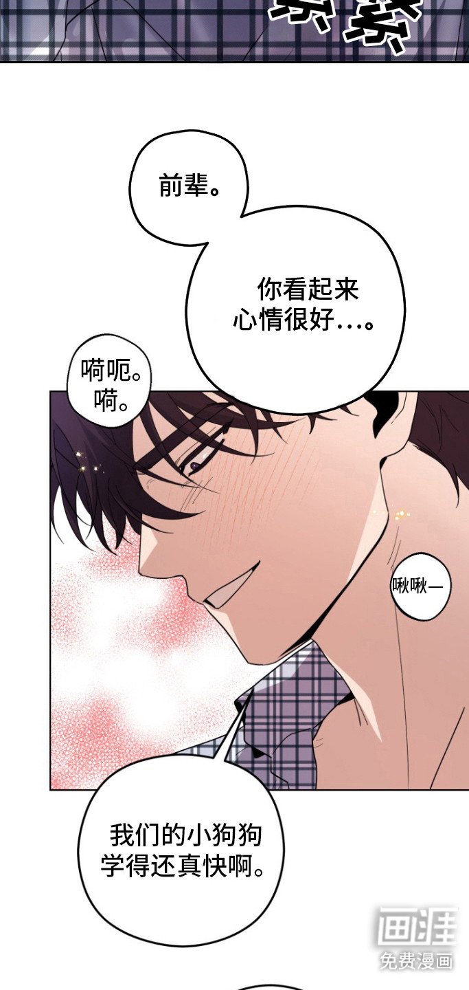 第12章：试试吧
