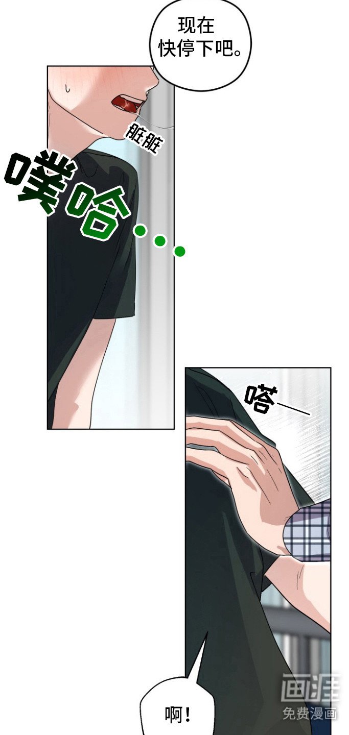 第12章：试试吧