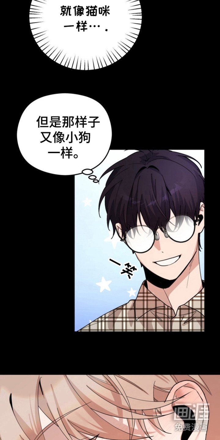 第15章：原来是爱