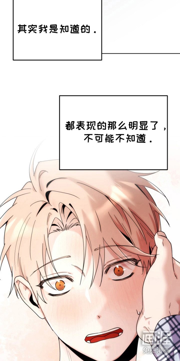 第15章：原来是爱