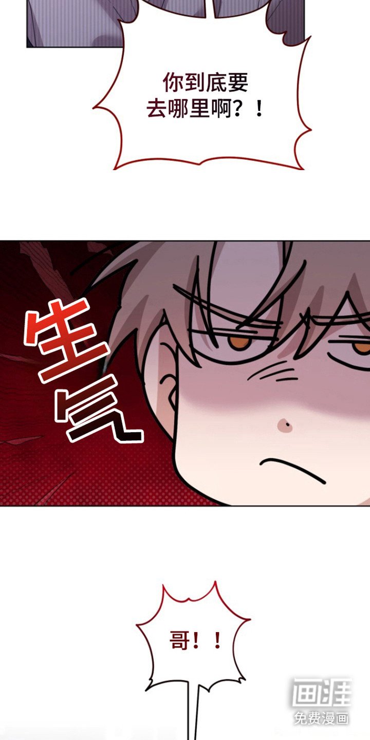 第20章：要去哪里
