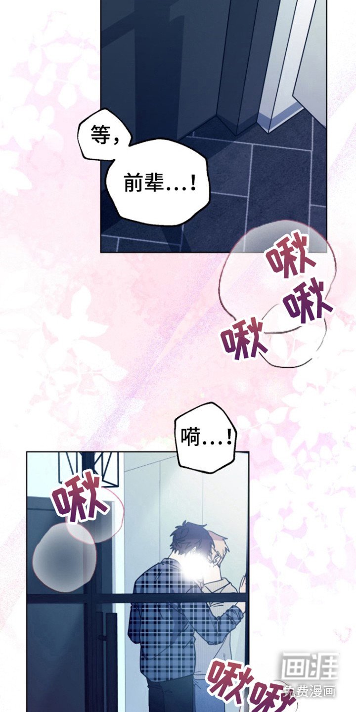 第21章：我喜欢你