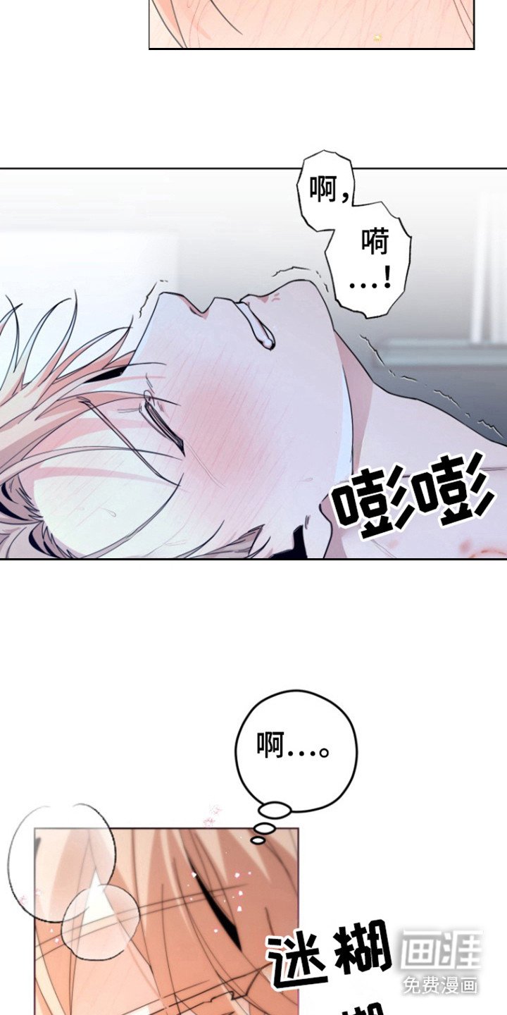 第22章：爱情季节（完结）