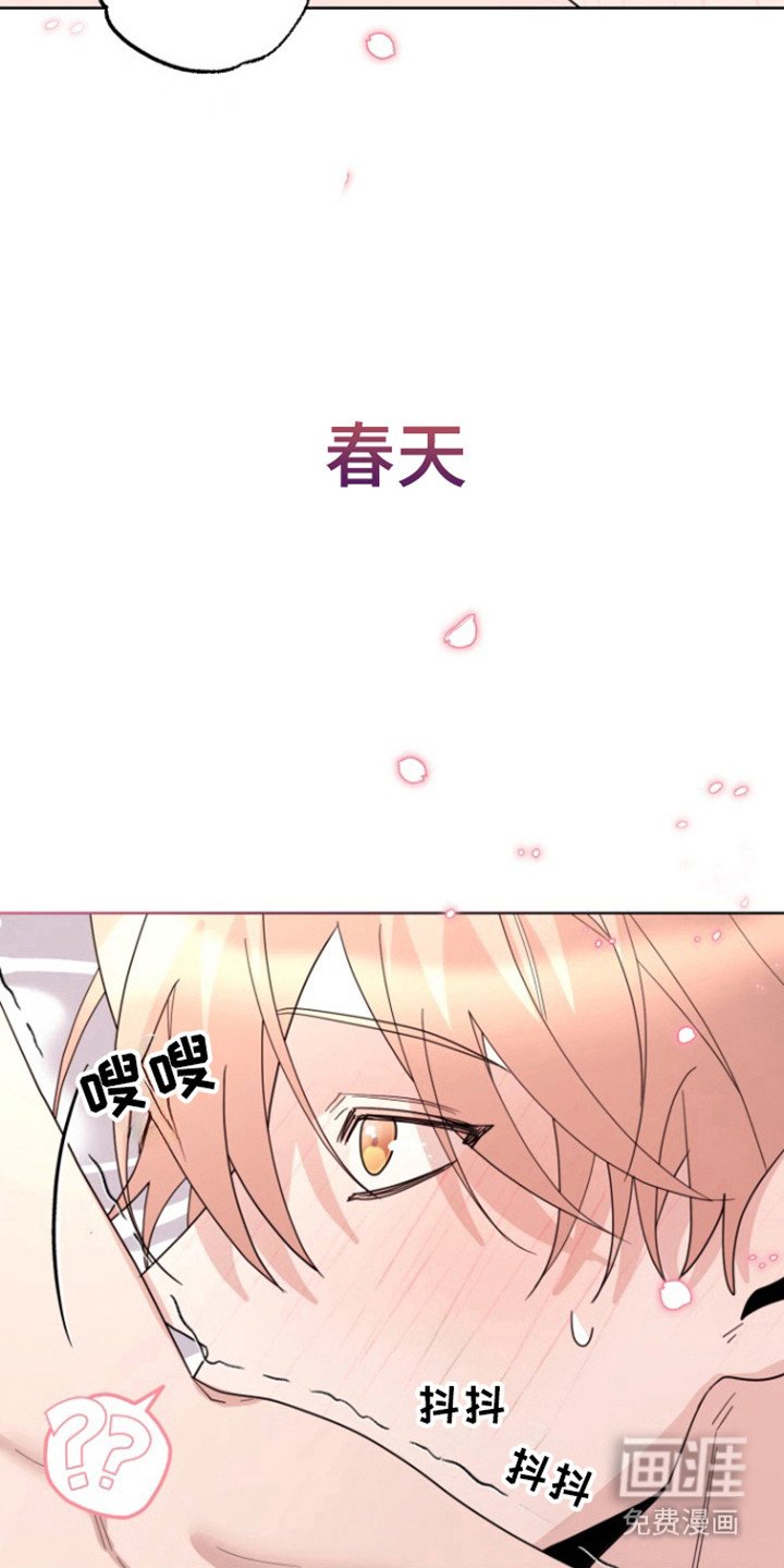 第22章：爱情季节（完结）