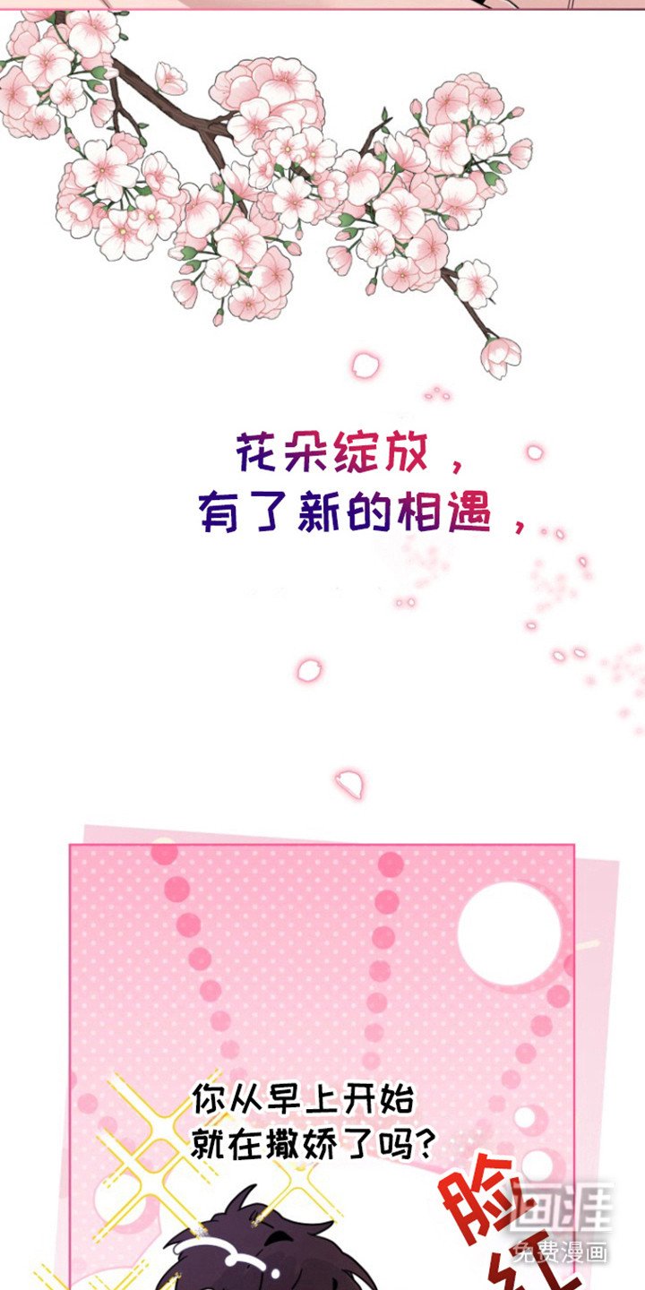 第22章：爱情季节（完结）