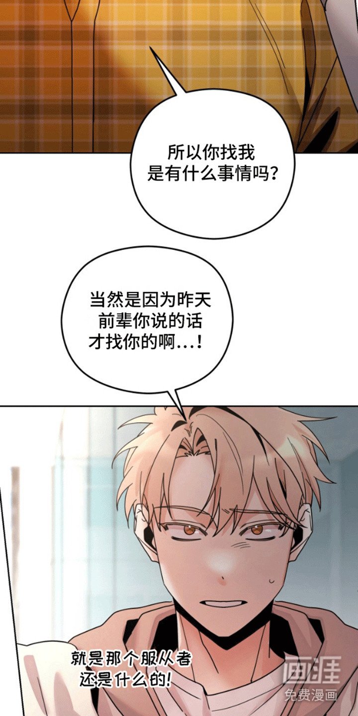 第7章：提议