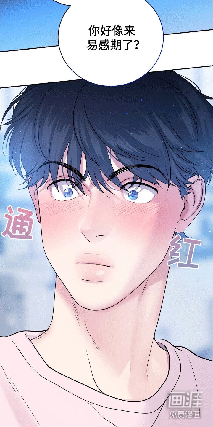 第12章：易感期