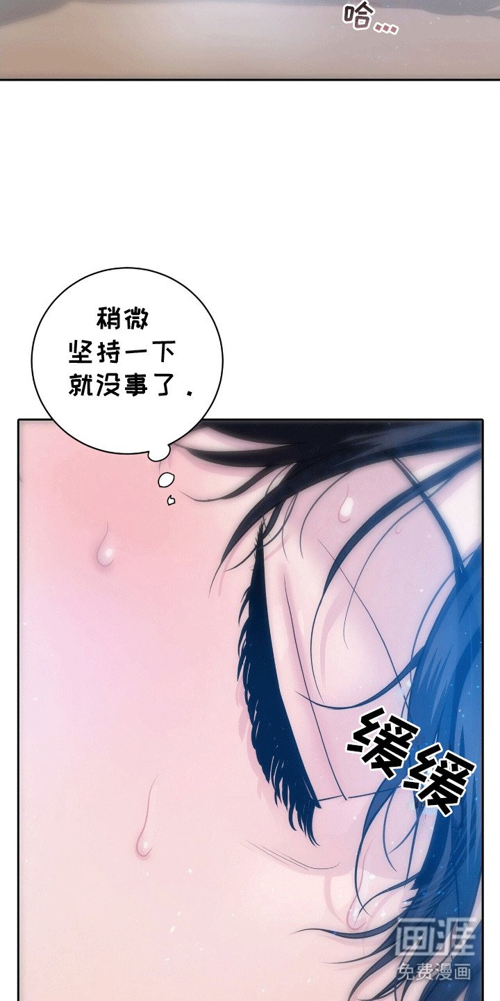 第13章：再次见到他