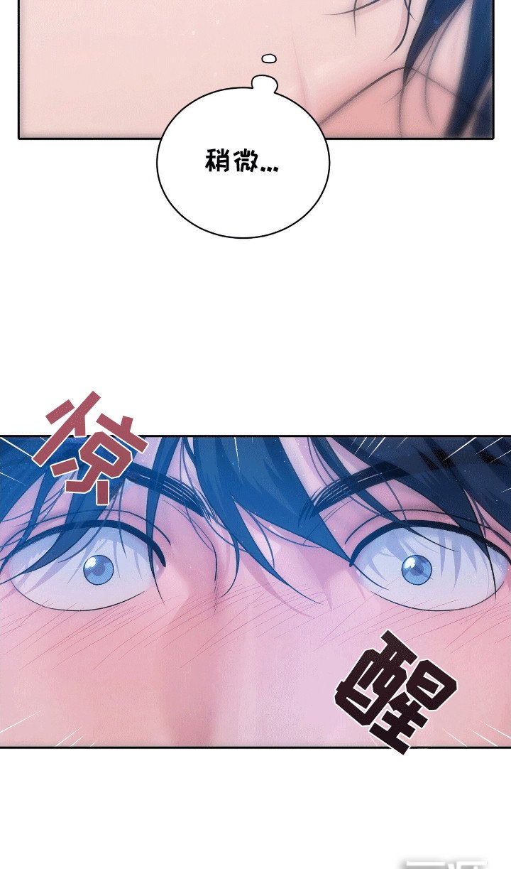 第13章：再次见到他