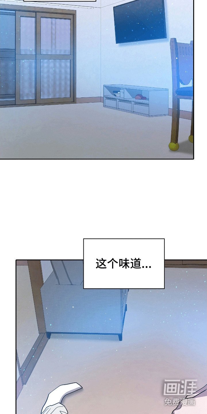 第13章：再次见到他