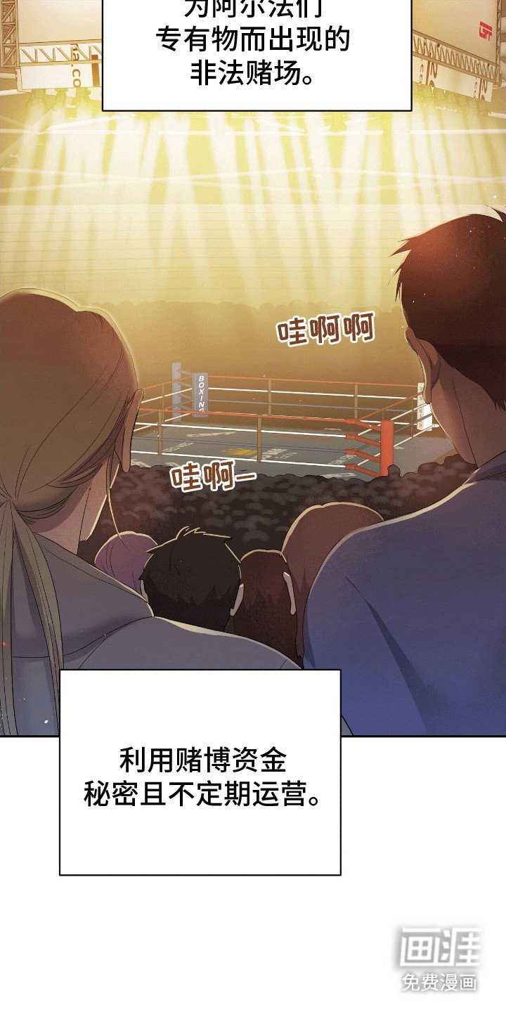 第2章：格斗俱乐部