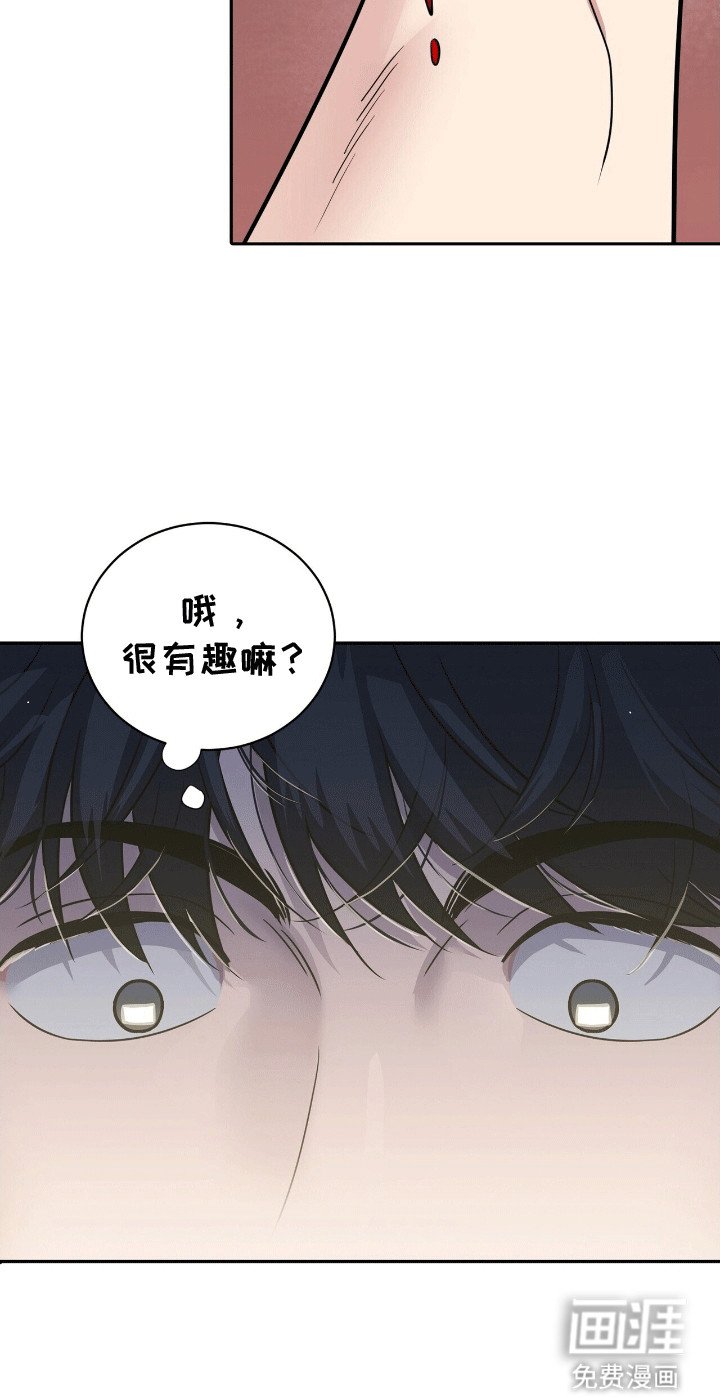 第2章：格斗俱乐部