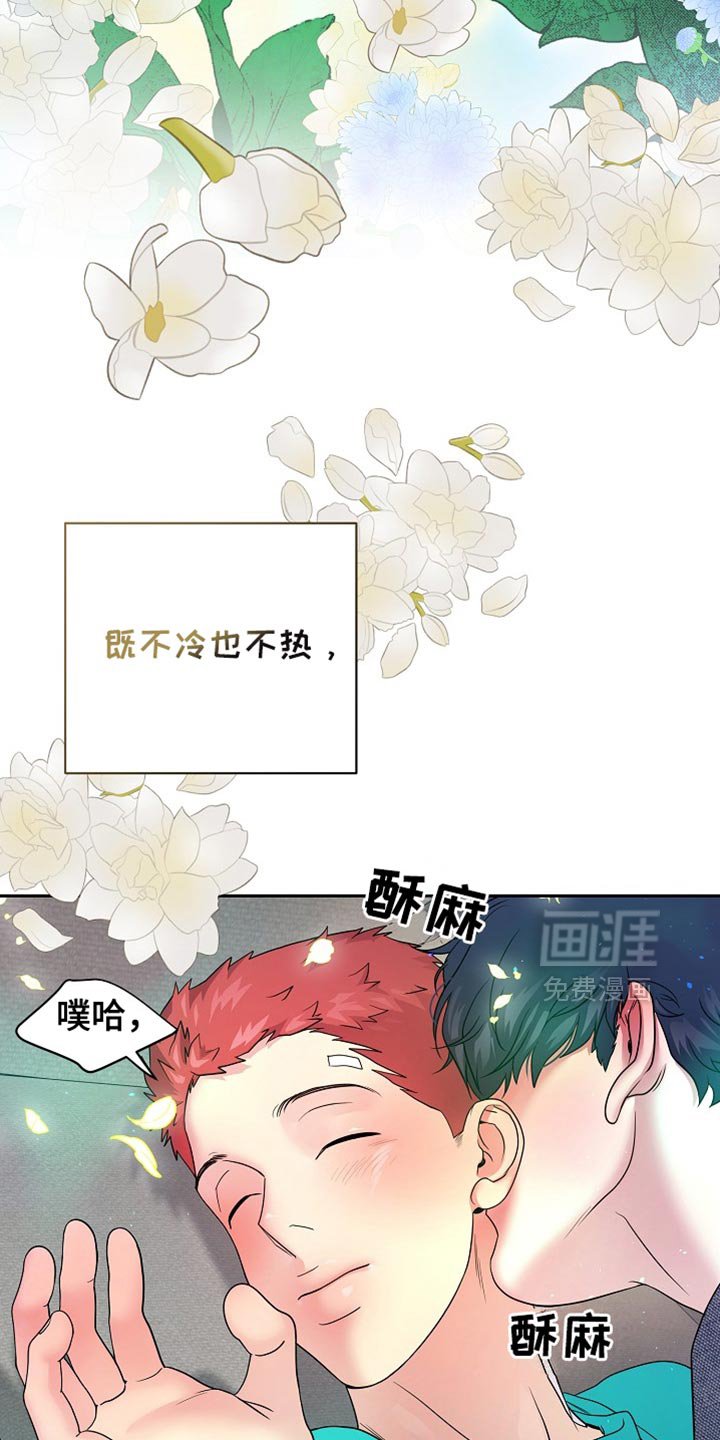 第36章：天生的命运