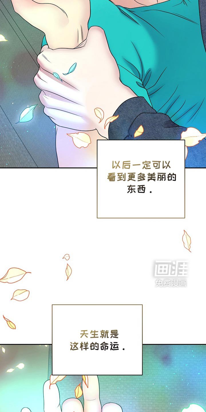 第36章：天生的命运