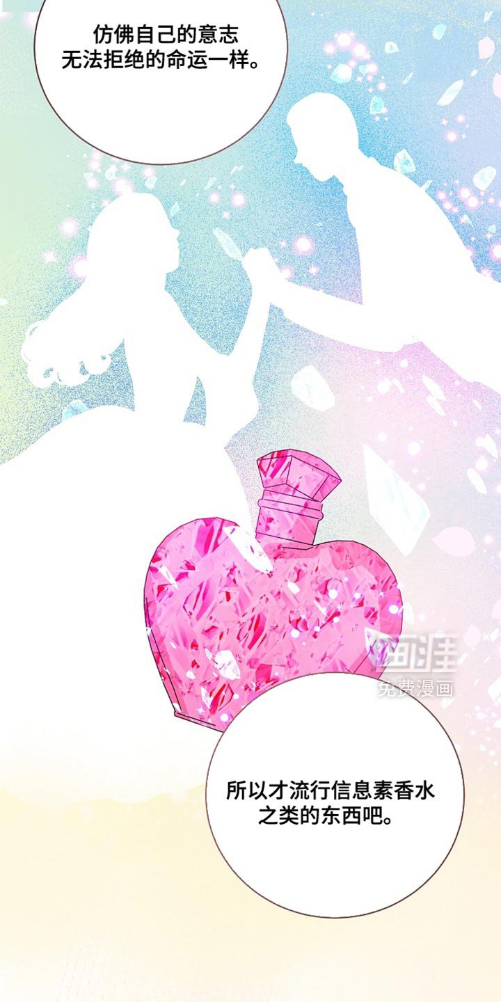 第41章：没有其他杂质