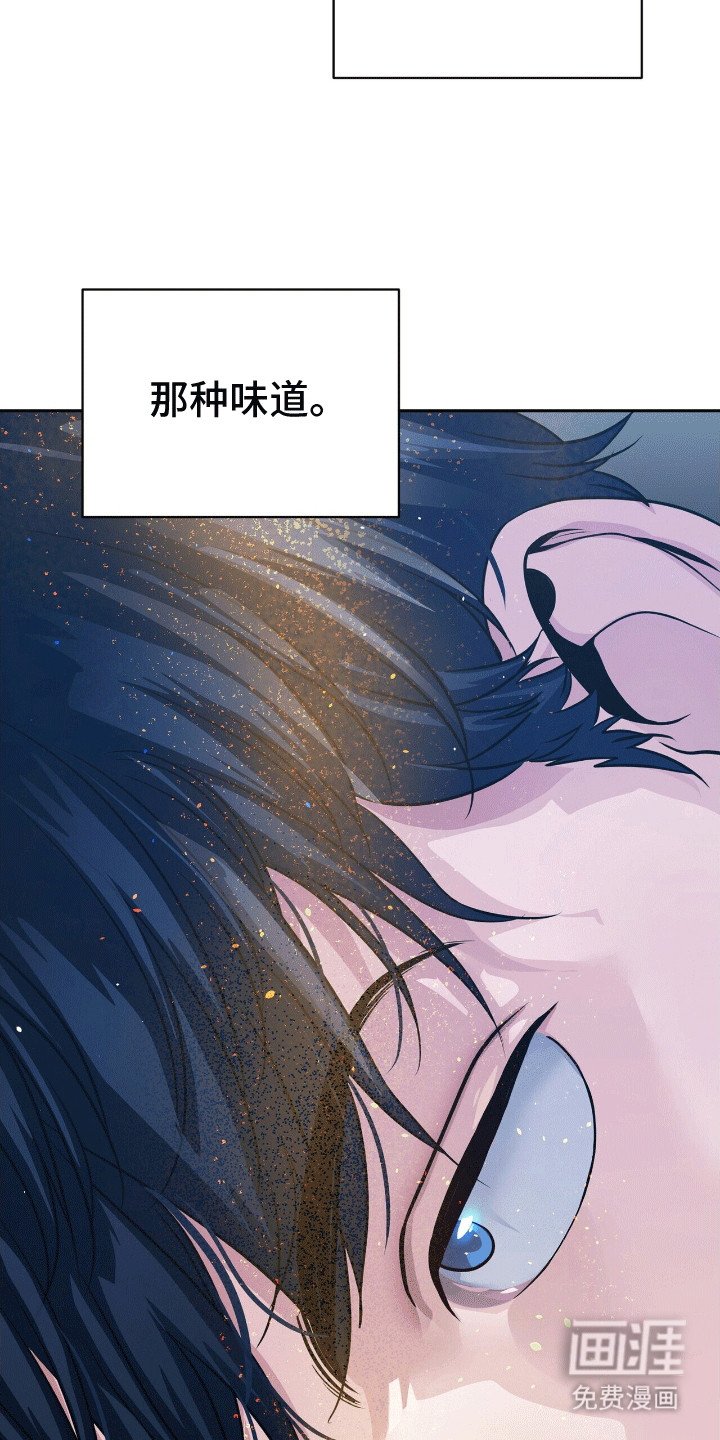 第7章：滑铁卢