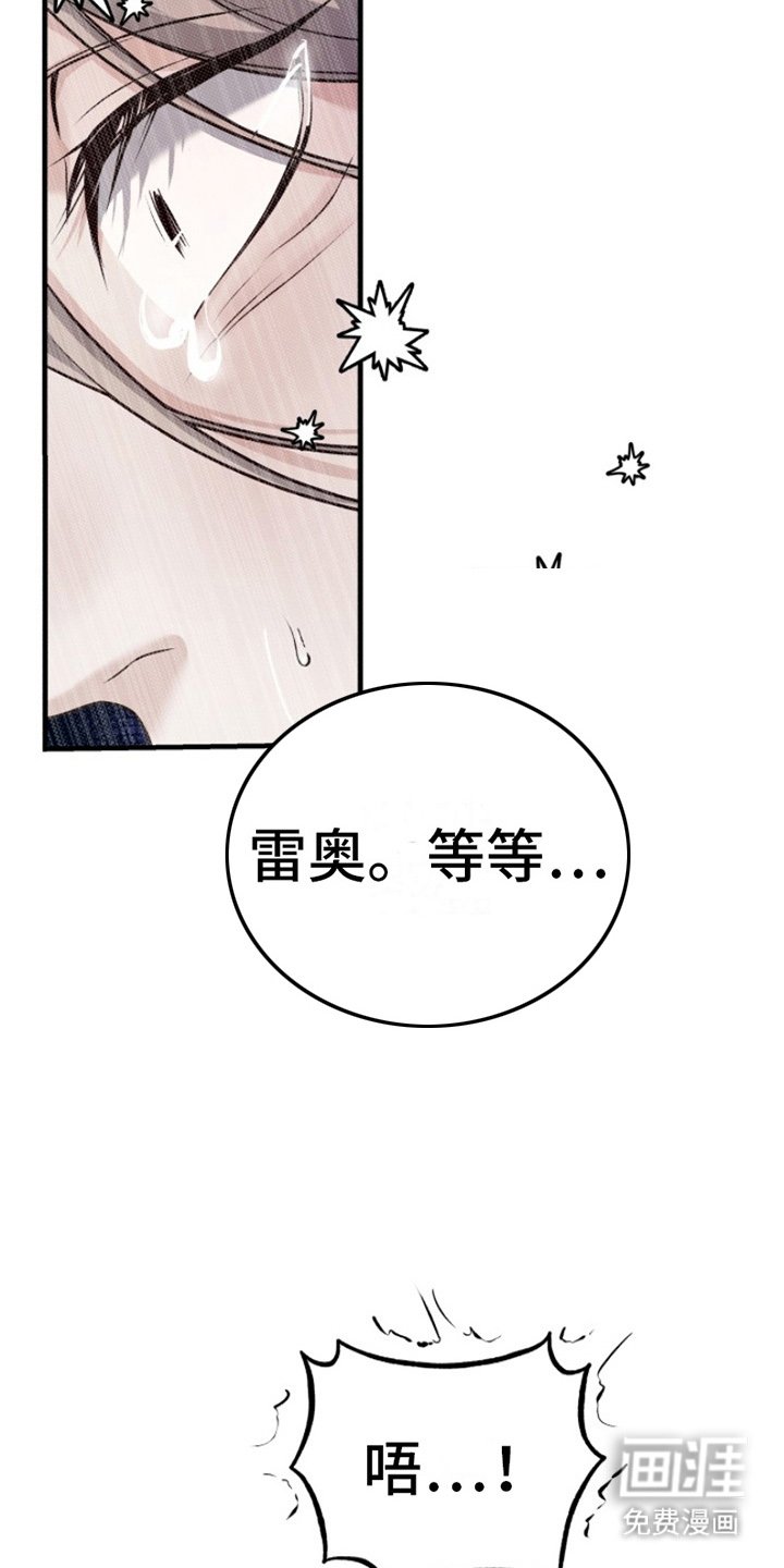 第4章：老鼠
