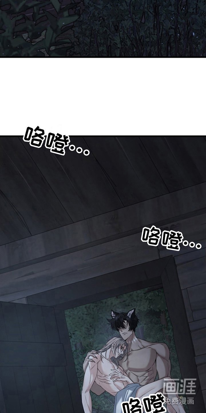 第6章：野性