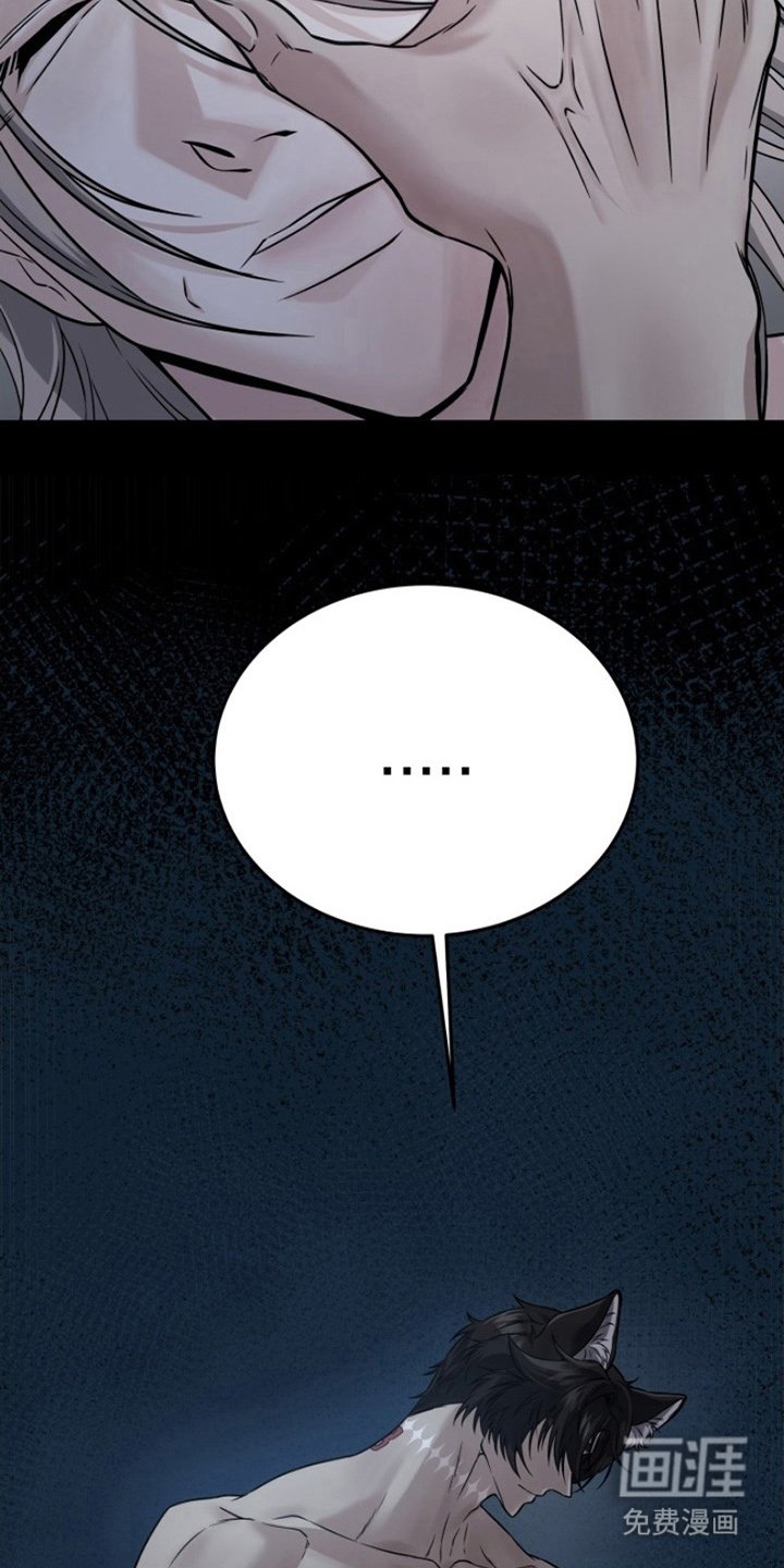 第6章：野性