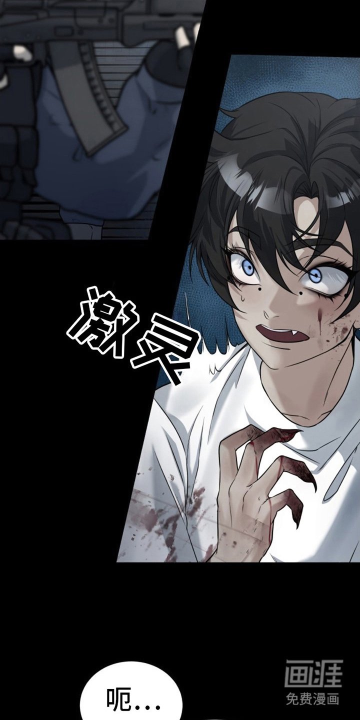 第6章：野性
