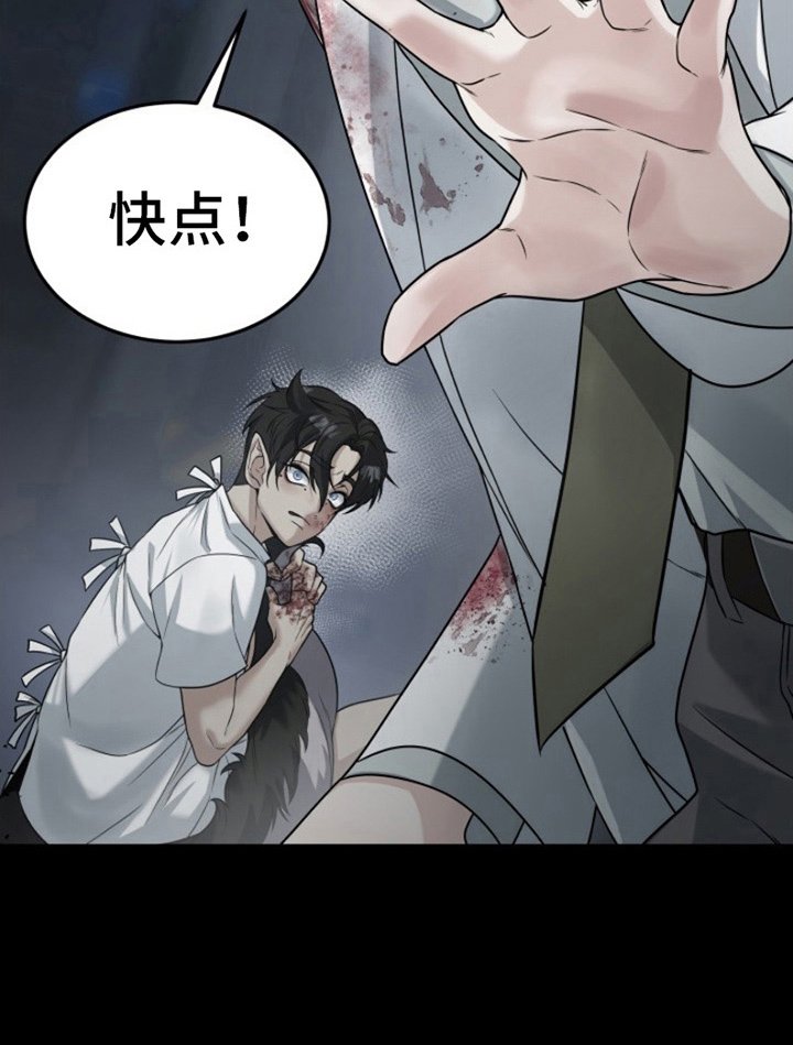 第6章：野性