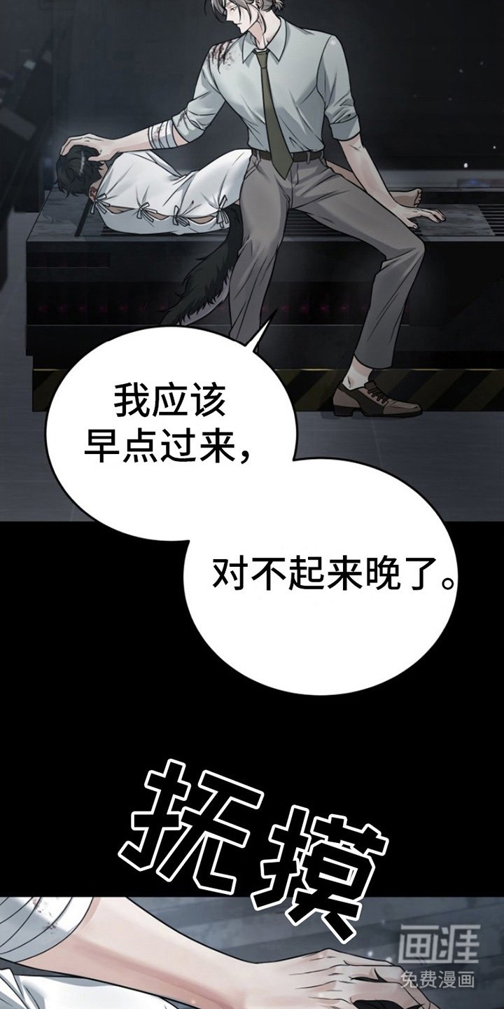 第7章：安慰