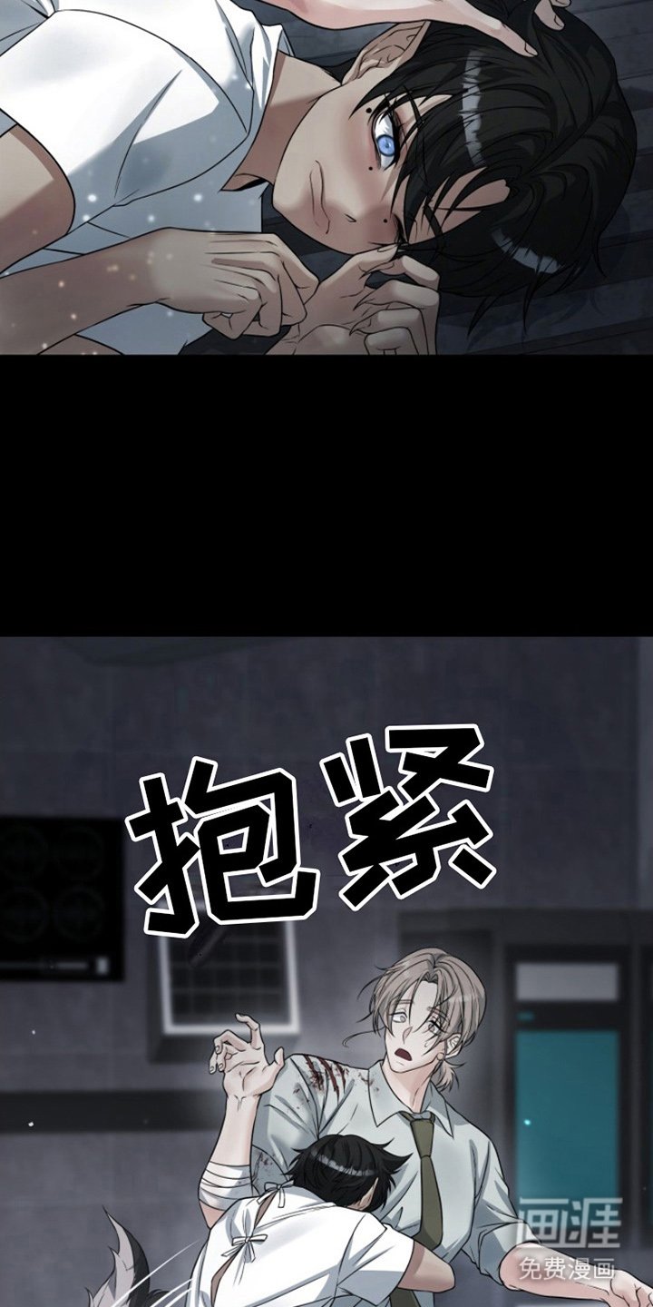 第7章：安慰