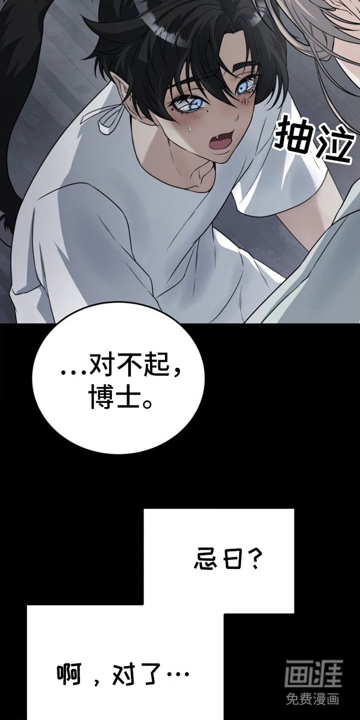 第7章：安慰