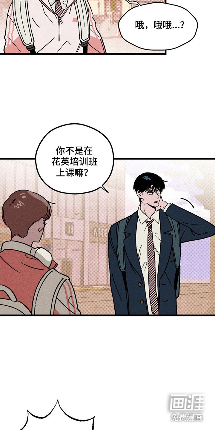 第12章：喜欢的脸